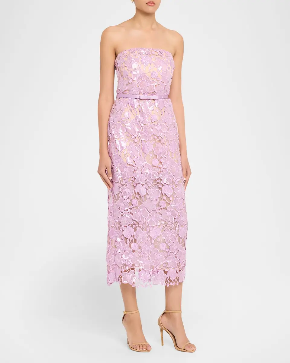Retrofête Rowen Sequined Lace Midi Dress | Thumbnail 2 Retrofête Rowen Sequined Lace Midi Dress | Thumbnail 2