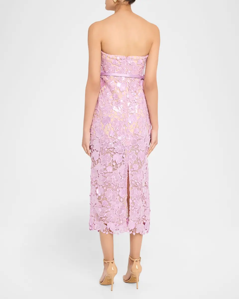 Retrofête Rowen Sequined Lace Midi Dress | Thumbnail 3 Retrofête Rowen Sequined Lace Midi Dress | Thumbnail 3