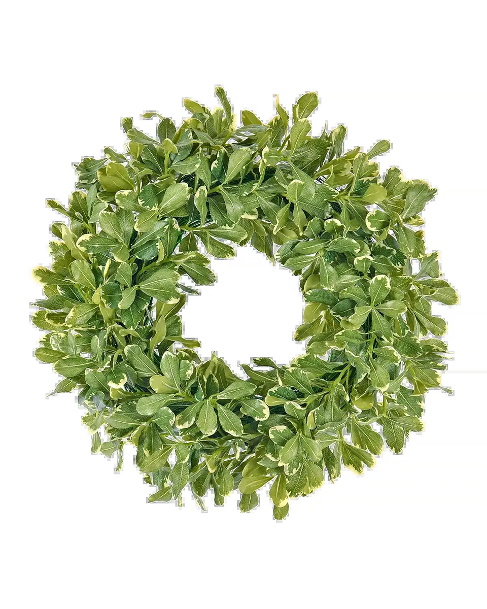 Winward Home Faux Pittosporum Spray 24" Wreath | Thumbnail 2