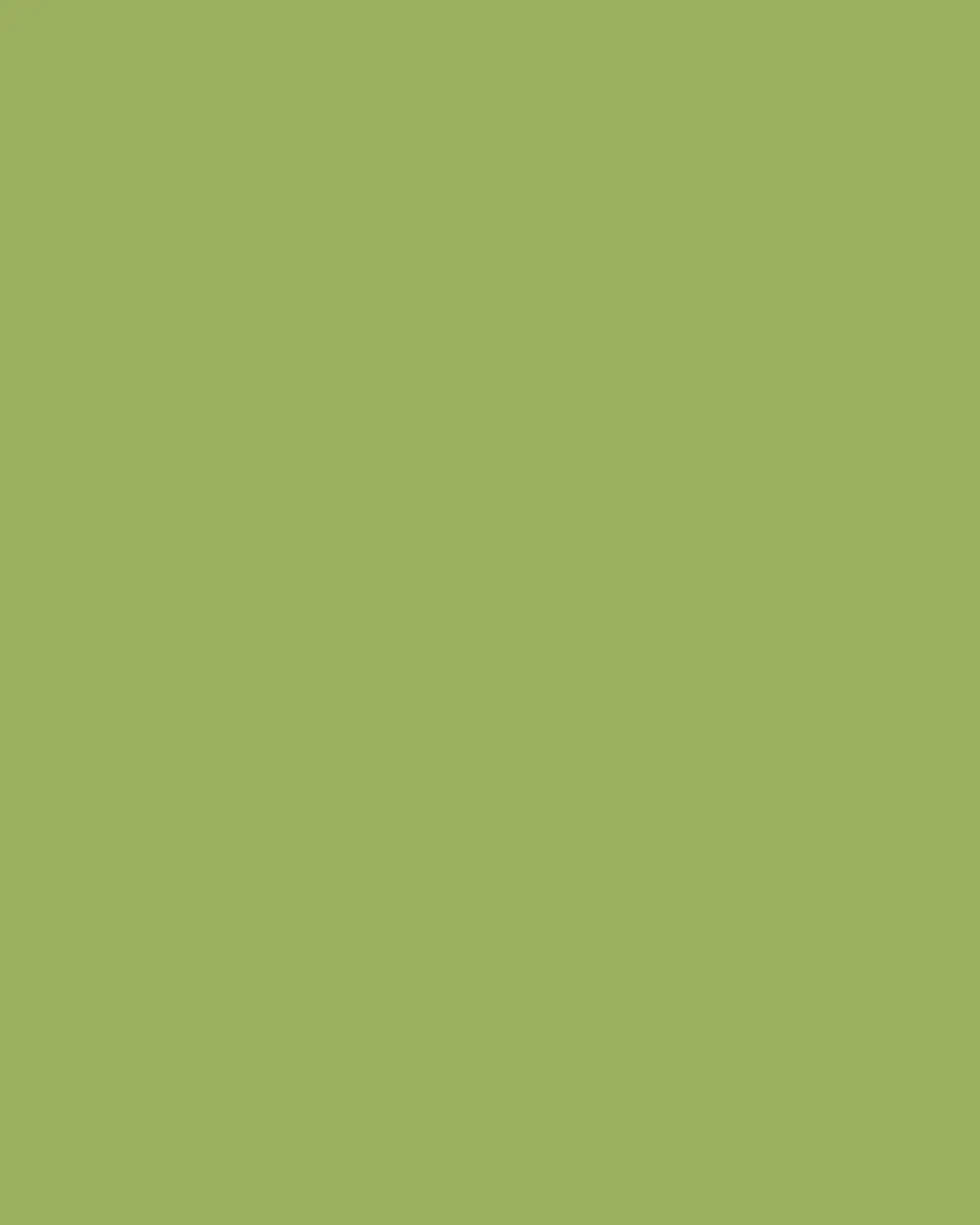 Winward Home Faux Pittosporum Spray 24" Wreath | Thumbnail 3