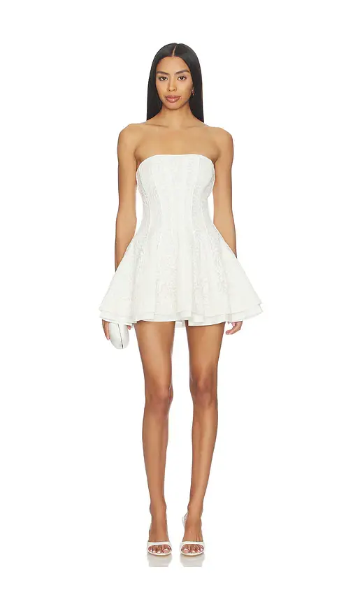 V. Chapman Rosemary Mini Dress | Image 1 V. Chapman Rosemary Mini Dress | Image 1