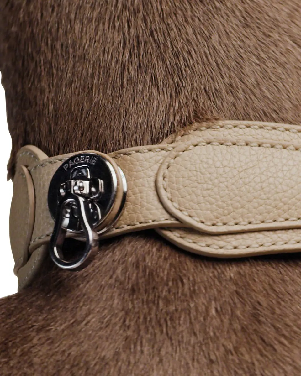 Pagerie The Dorro Dog Collar | Thumbnail 9 Pagerie The Dorro Dog Collar | Thumbnail 9