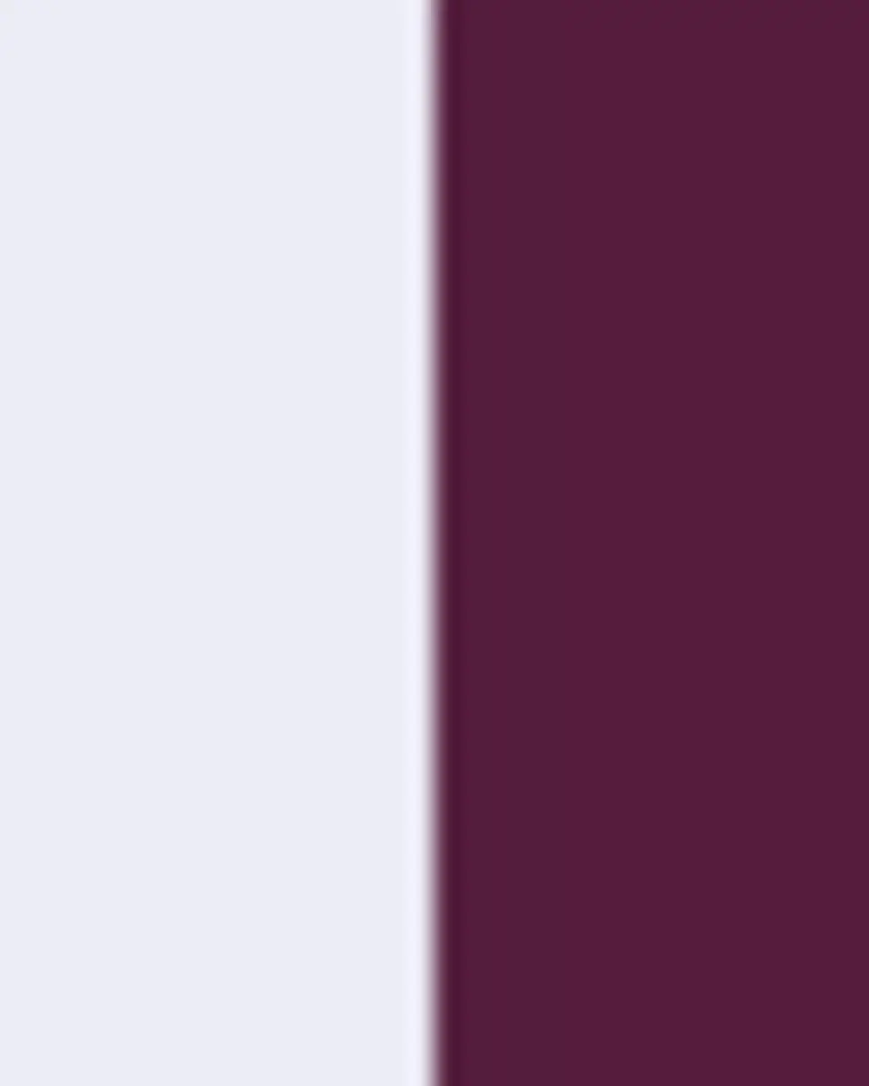 The Lino Essential Simple Square Shams, Set of 2 | Thumbnail 3
