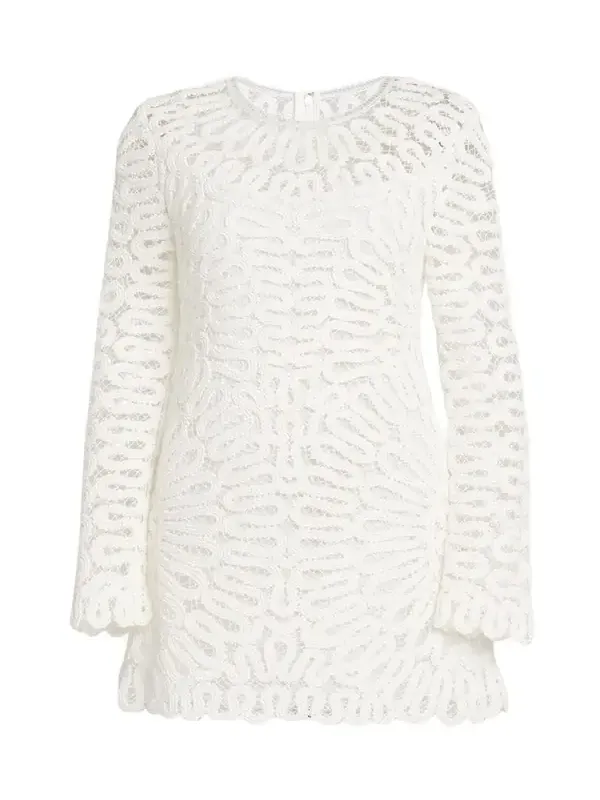 Mccall Cage Crochet Mini Dress Mccall Cage Crochet Mini Dress