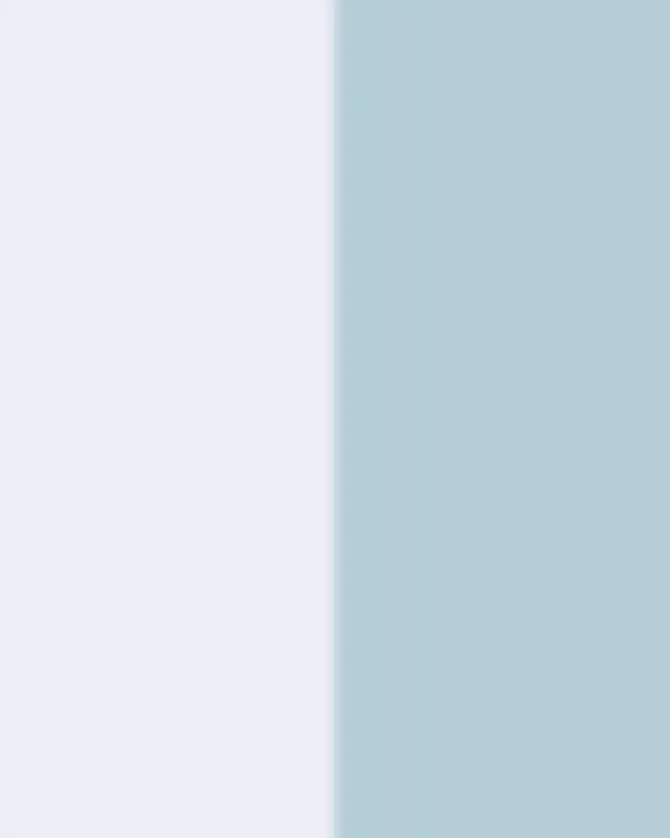 The Lino Japan 500-Thread Count Pillowcase Pair | Thumbnail 3