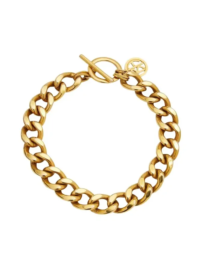 Polished Link Necklace Polished Link Necklace