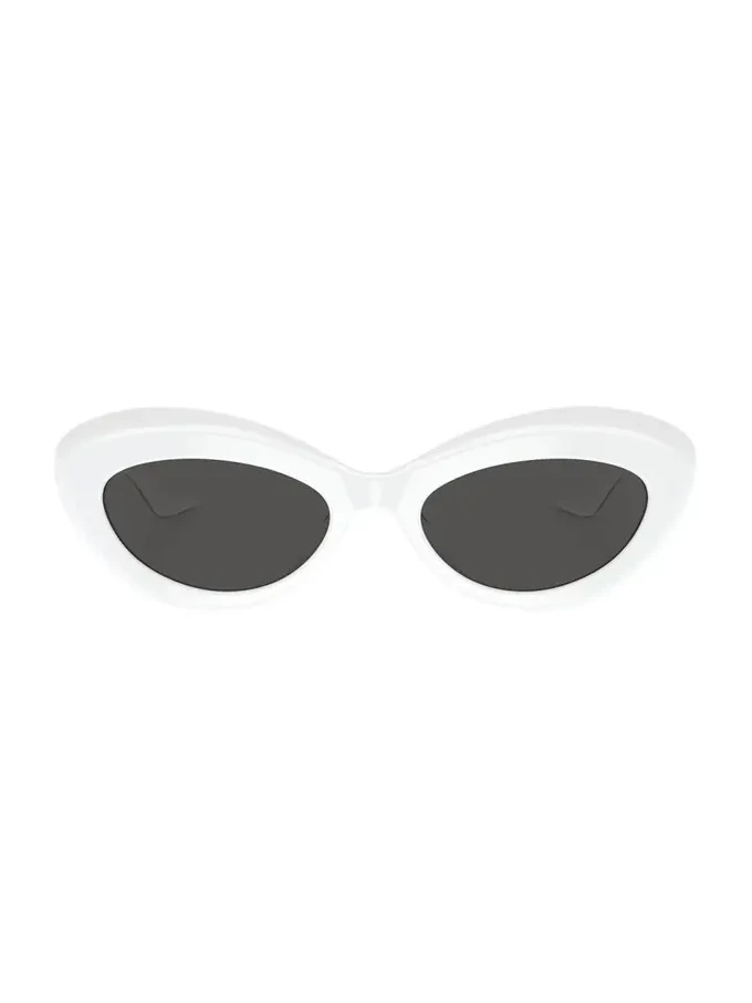 Bold Acetate Oval Sunglasses
