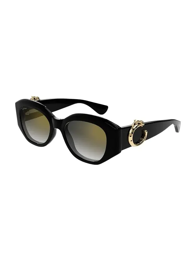 C-Logo Acetate Butterfly Sunglasses