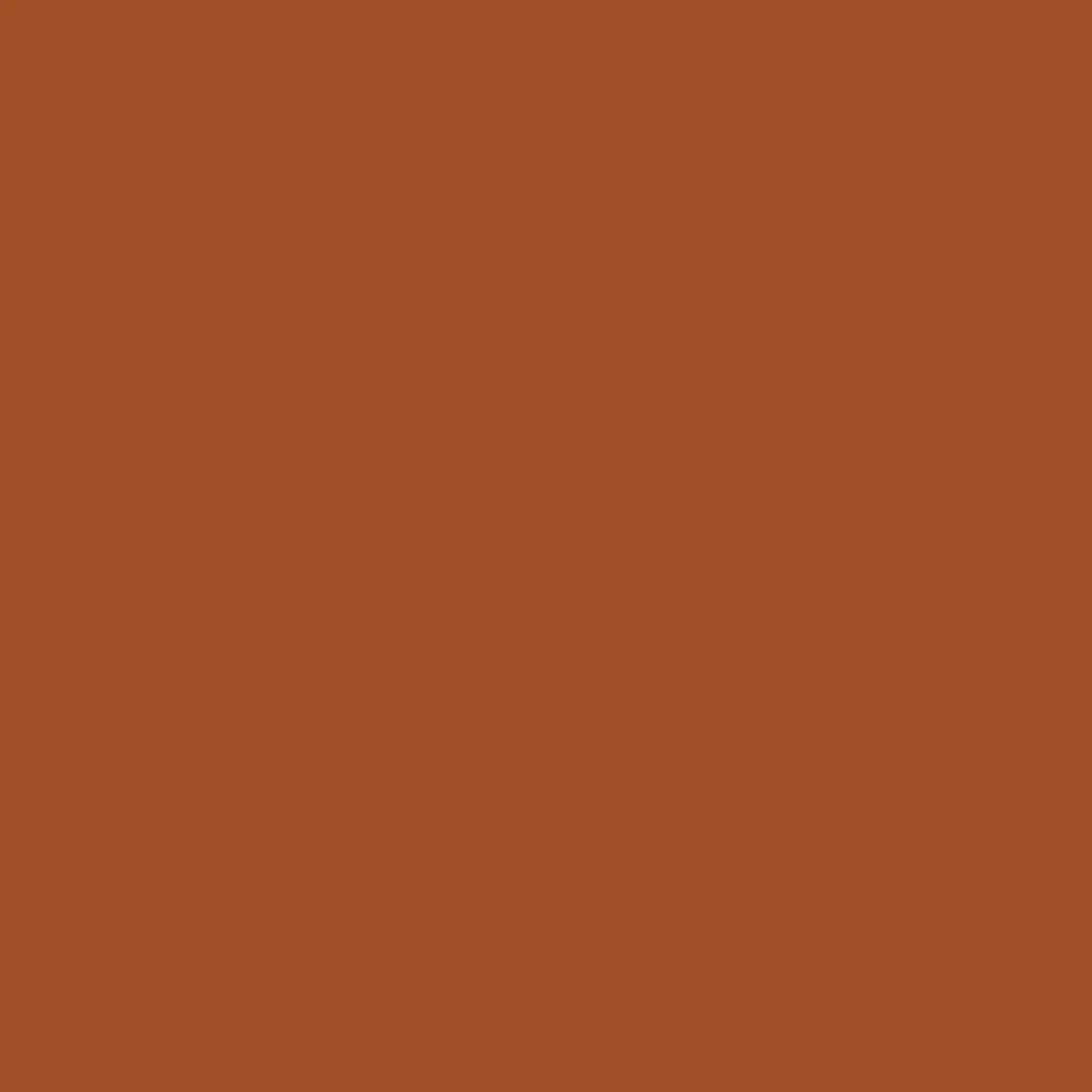 Simonnot Godard Men's Western Nubuck Suede Belt | Thumbnail 4