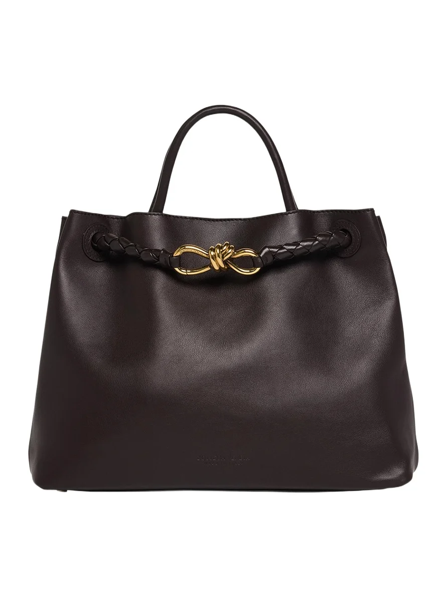 Bottega Veneta Andiamo Medium Leather Tote Bag