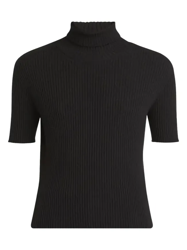 Turtleneck Short-Sleeve Cashmere Rib Sweater