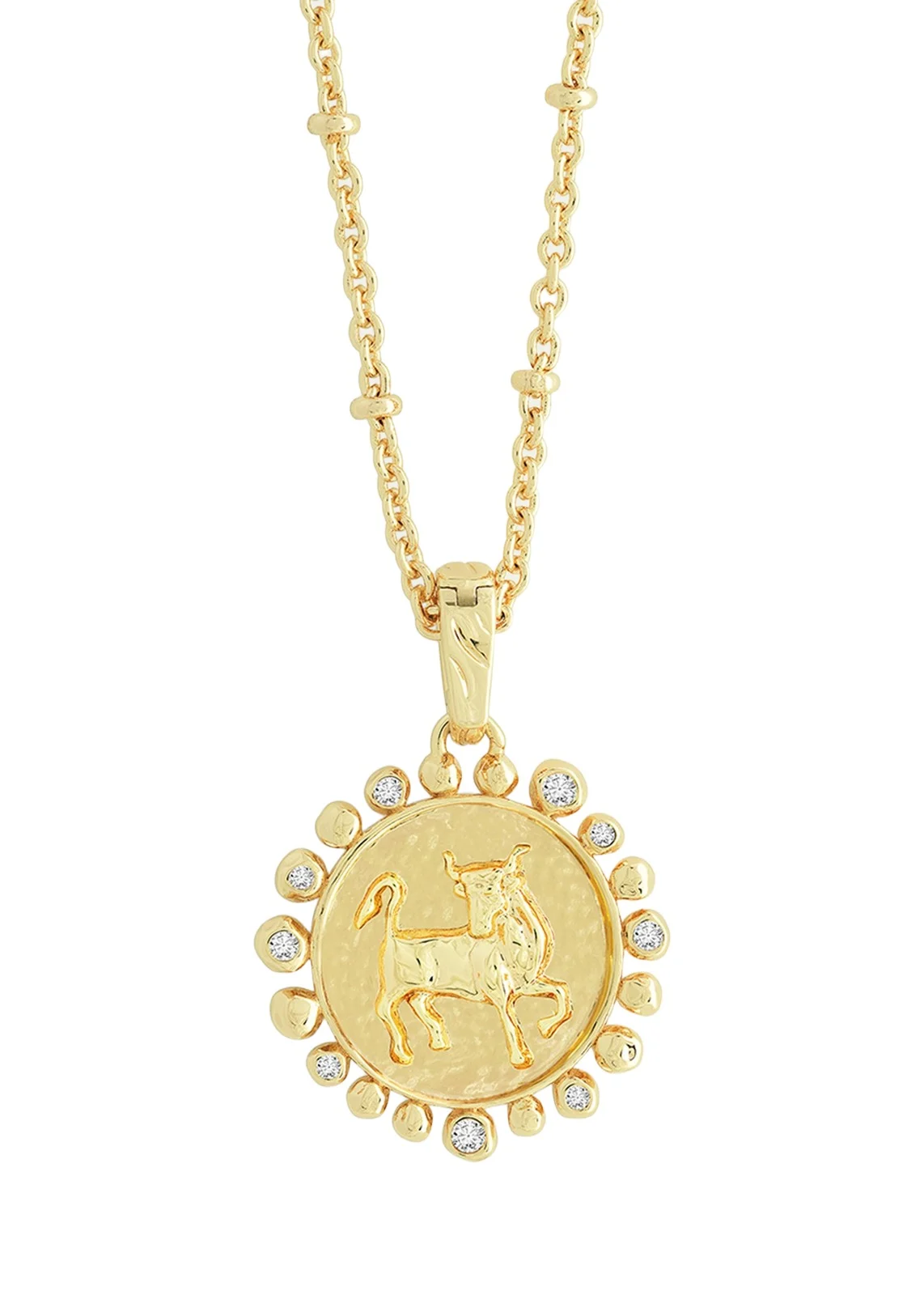 Zodiac Pendant Necklace Zodiac Pendant Necklace