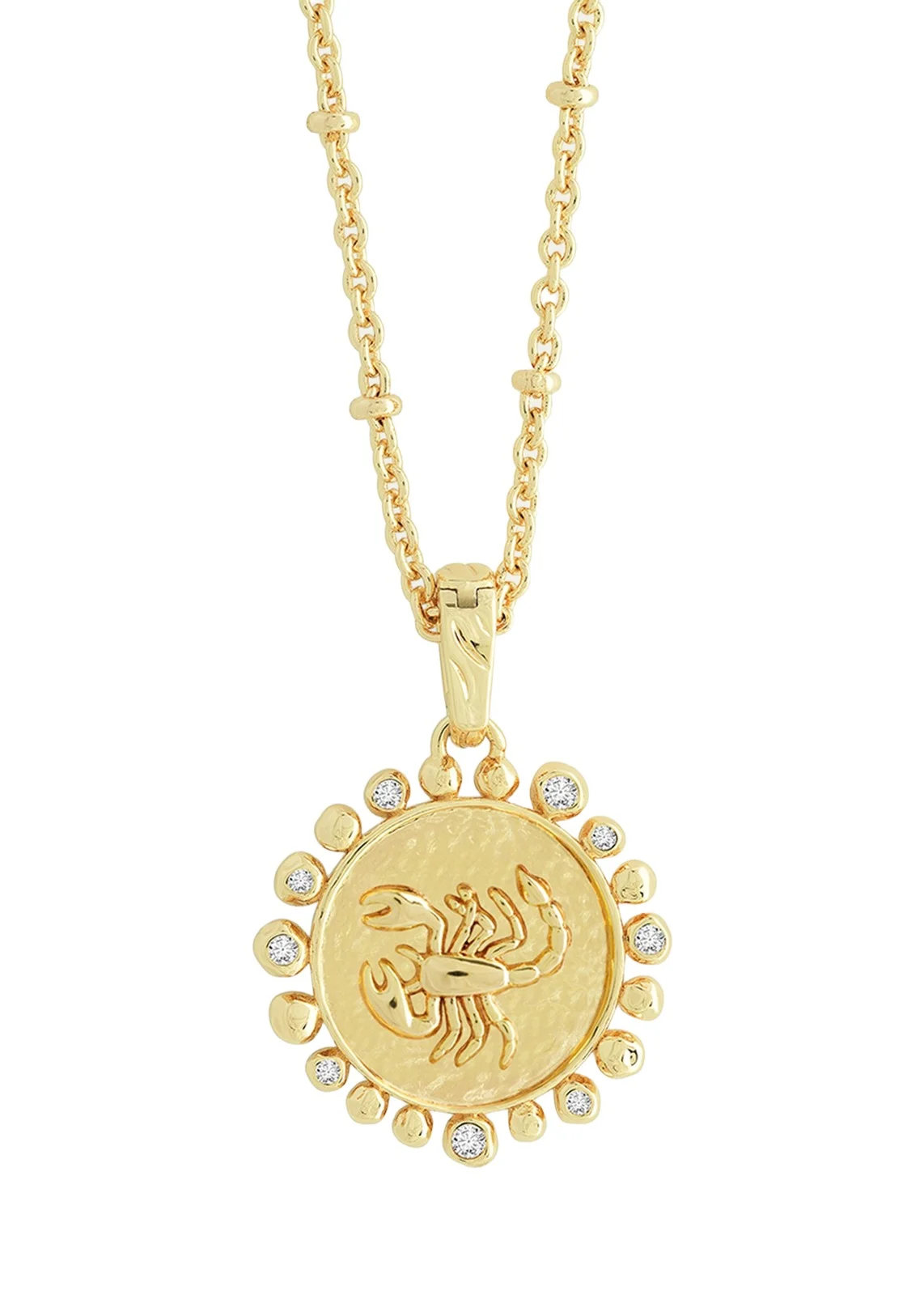 Zodiac Pendant Necklace Zodiac Pendant Necklace
