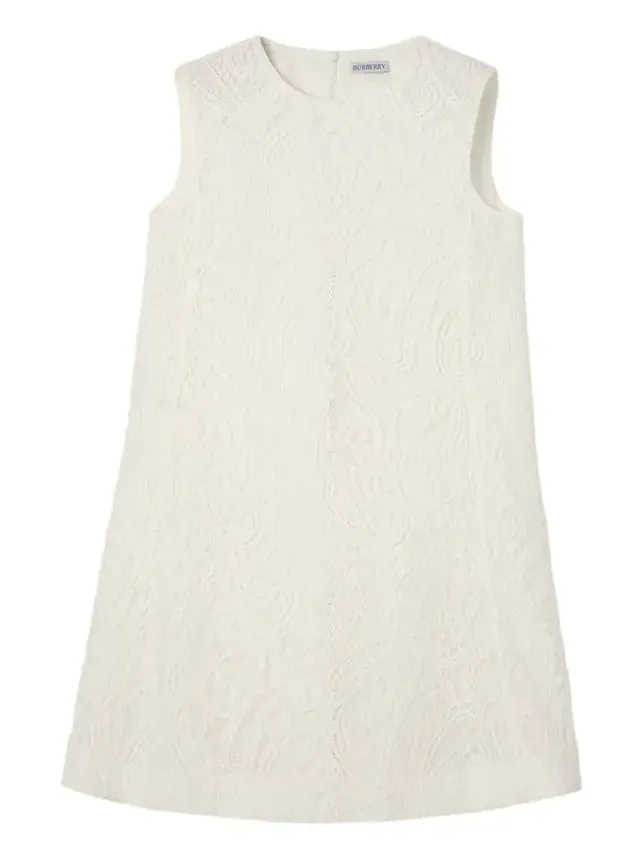 Elysande Paisley Lace Sleeveless Mini Dress Elysande Paisley Lace Sleeveless Mini Dress