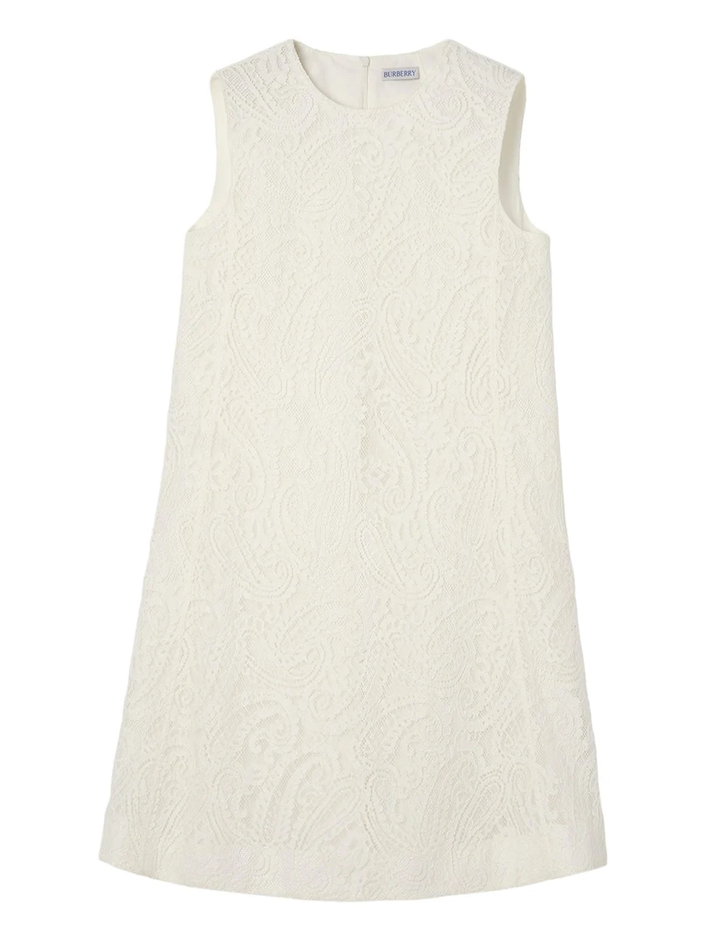Elysande Paisley Lace Sleeveless Mini Dress Elysande Paisley Lace Sleeveless Mini Dress