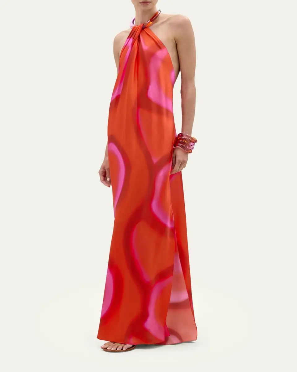 Silvia Tcherassi Jesse Abstract-Print Backless Halter Maxi Dress | Thumbnail 2 Silvia Tcherassi Jesse Abstract-Print Backless Halter Maxi Dress | Thumbnail 2