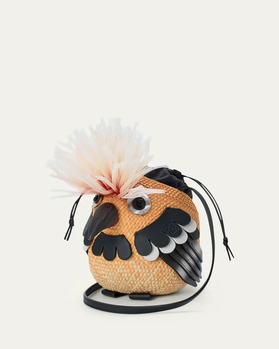Loewe x Paula's Ibiza Woven Bird Crossbody Bag | Thumbnail 5