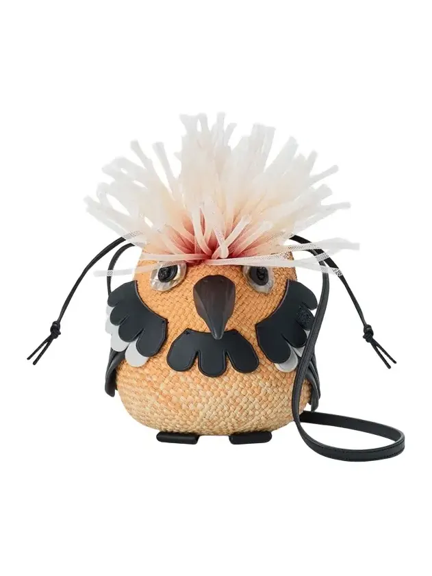 x Paula's Ibiza Woven Bird Crossbody Bag