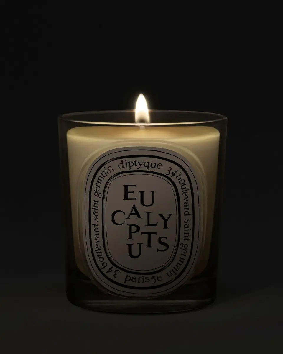 Diptyque Eucalyptus Classic Candle, 6.7 oz. | Thumbnail 2 Diptyque Eucalyptus Classic Candle, 6.7 oz. | Thumbnail 2
