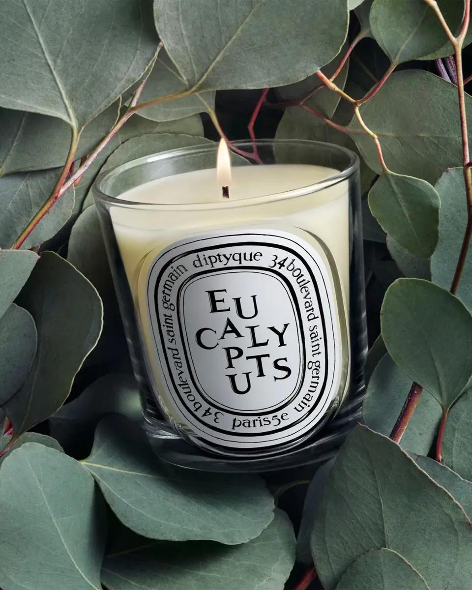 Diptyque Eucalyptus Classic Candle, 6.7 oz. | Thumbnail 3 Diptyque Eucalyptus Classic Candle, 6.7 oz. | Thumbnail 3