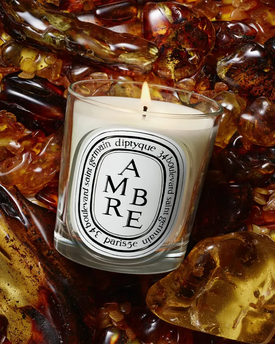 Diptyque Ambre (Amber) Scented Candle, 6.7 oz. | Thumbnail 3 Diptyque Ambre (Amber) Scented Candle, 6.7 oz. | Thumbnail 3