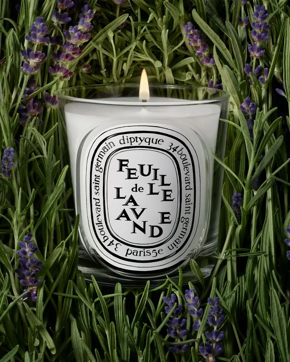 Diptyque Feuille de Lavande (Lavender Leaf) Classic Candle, 6.7 oz. | Thumbnail 3