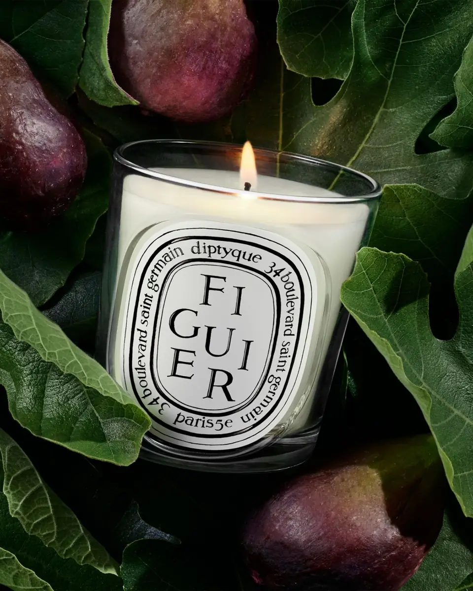 Diptyque Figuier (Fig Tree) Classic Candle, 6.7 oz. | Thumbnail 3 Diptyque Figuier (Fig Tree) Classic Candle, 6.7 oz. | Thumbnail 3