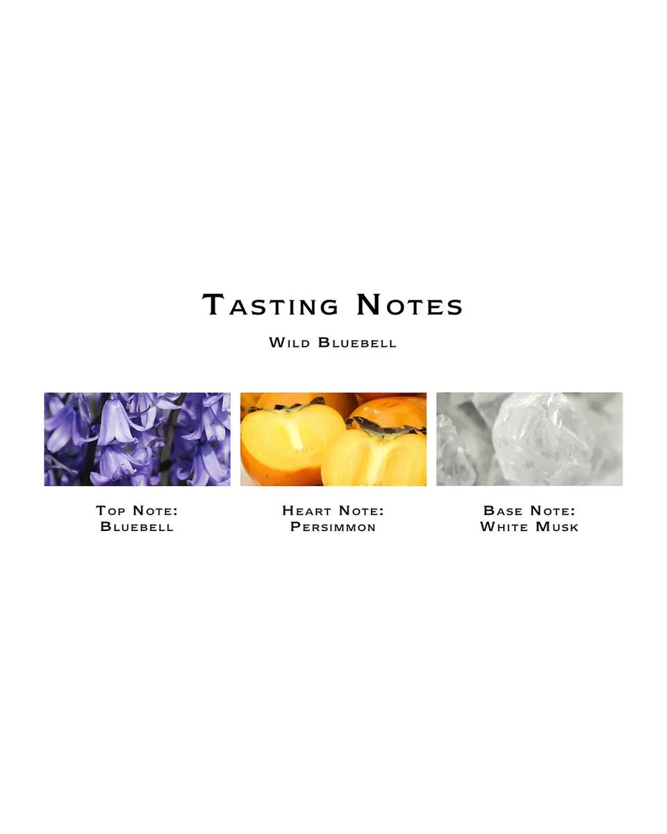 Jo Malone London 5.6 oz. Wild Bluebell Diffuser | Thumbnail 2 Jo Malone London 5.6 oz. Wild Bluebell Diffuser | Thumbnail 2