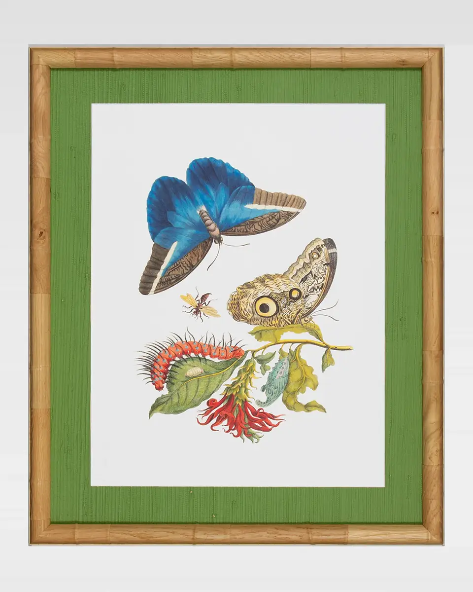 Shadow Catchers "Classic Botanical I" Framed Giclee | Thumbnail 2
