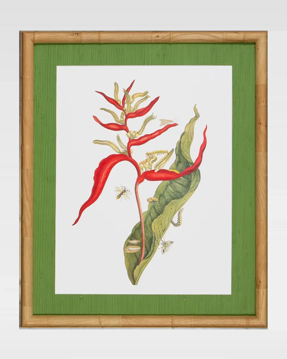 Shadow Catchers "Classic Botanical III" Framed Giclee | Thumbnail 2 Shadow Catchers "Classic Botanical III" Framed Giclee | Thumbnail 2