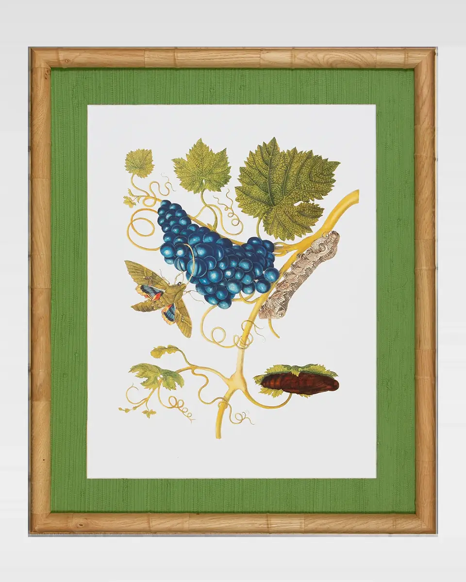 Shadow Catchers "Classic Botanical VIII" Framed Giclee | Thumbnail 2 Shadow Catchers "Classic Botanical VIII" Framed Giclee | Thumbnail 2