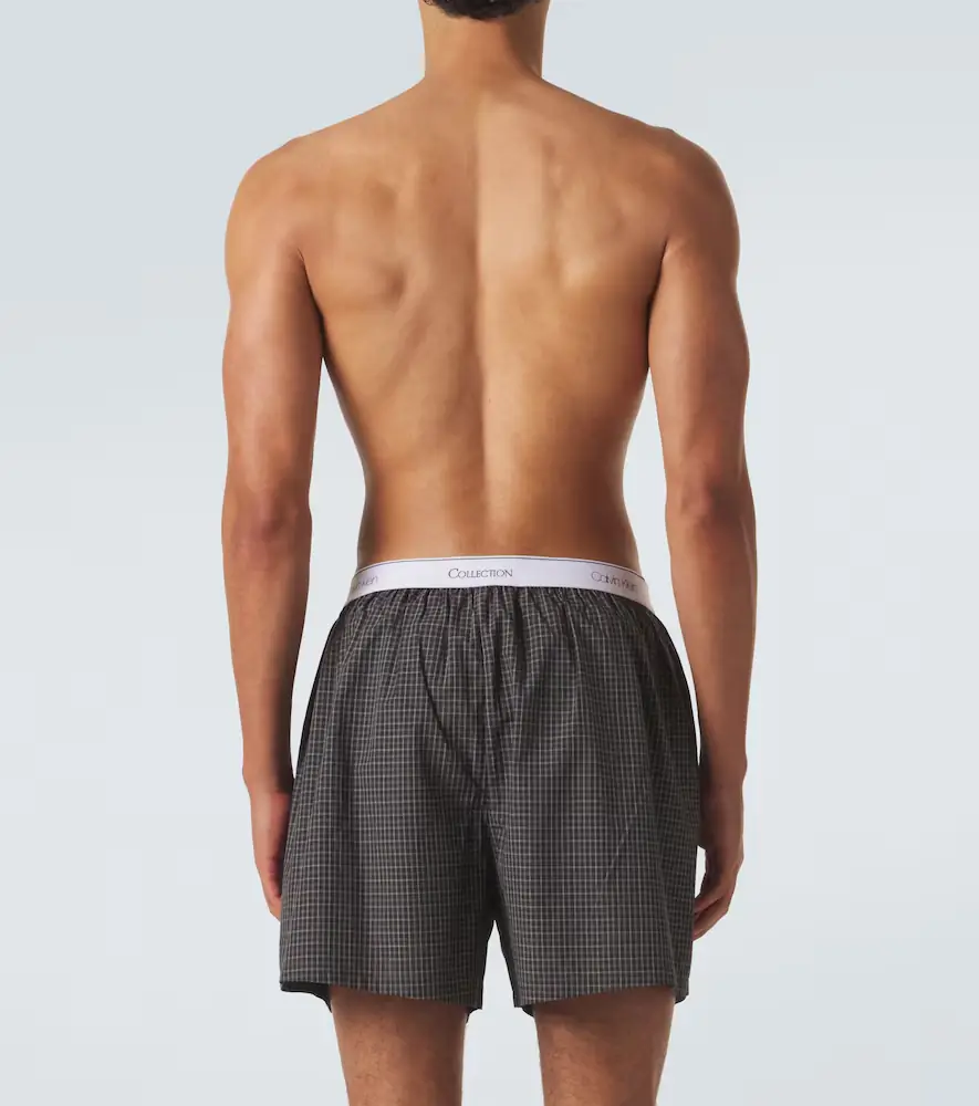 Calvin Klein Collection Owen checked cotton boxer briefs | Thumbnail 2