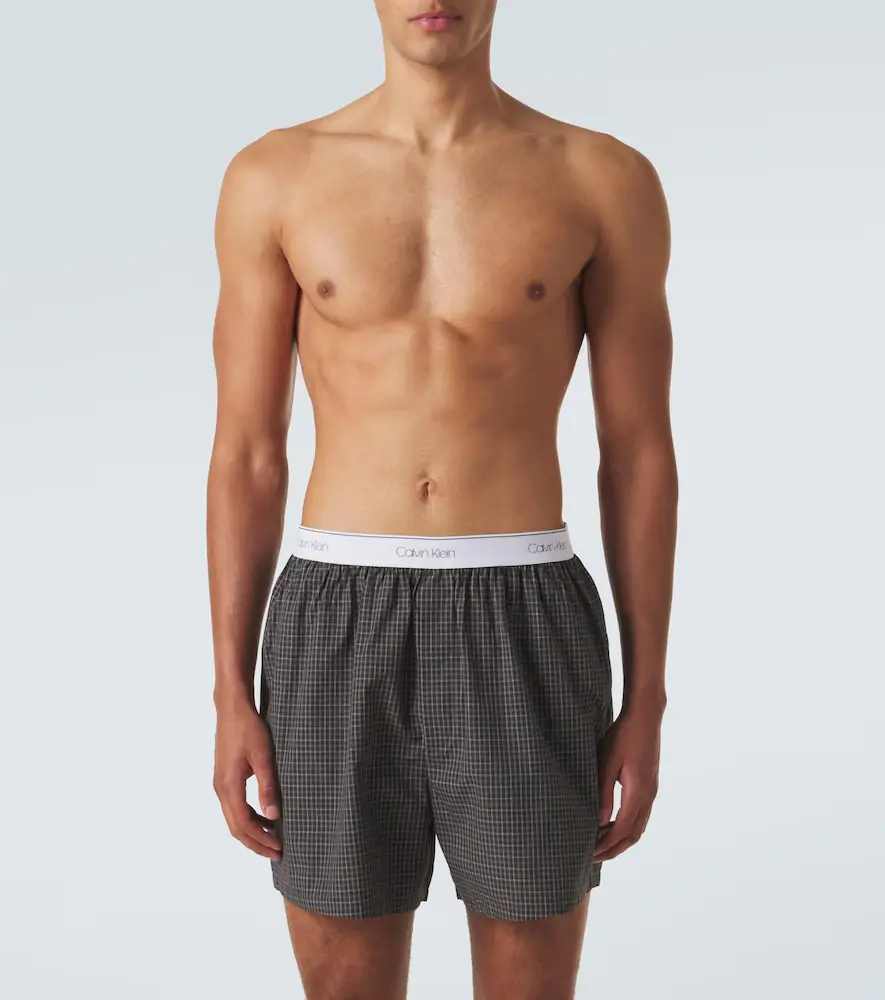 Calvin Klein Collection Owen checked cotton boxer briefs | Thumbnail 3