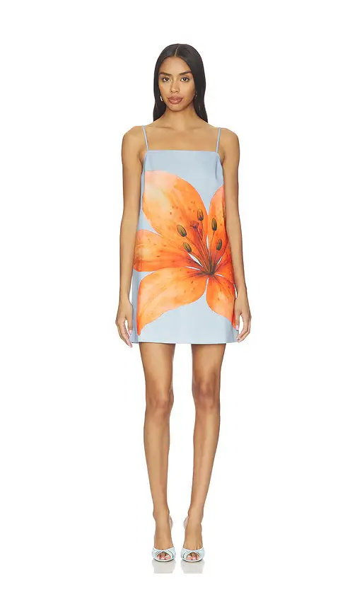 Line & Dot Avah Mini Dress | Image 1 Line & Dot Avah Mini Dress | Image 1