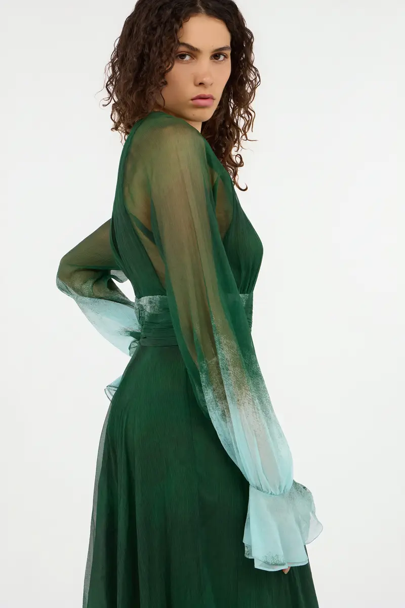 Roberto Cavalli Long Empire-Style Pure Silk Dress | Thumbnail 6