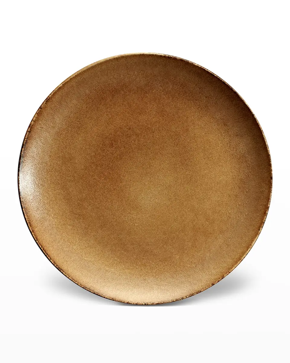 L'Objet Terra Charger