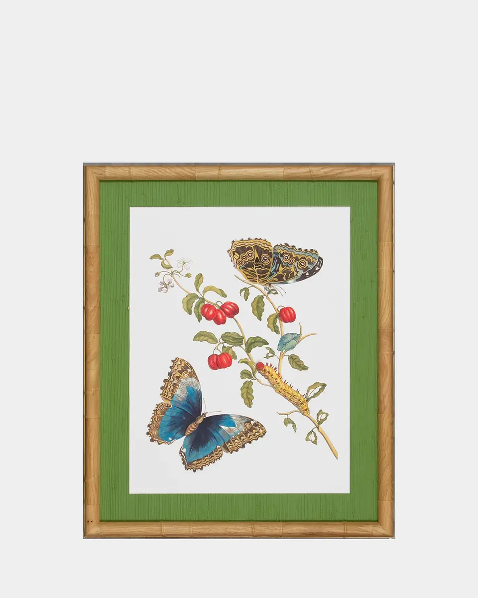 Shadow Catchers "Classic Botanical IX" Framed Giclee | Thumbnail 2 Shadow Catchers "Classic Botanical IX" Framed Giclee | Thumbnail 2