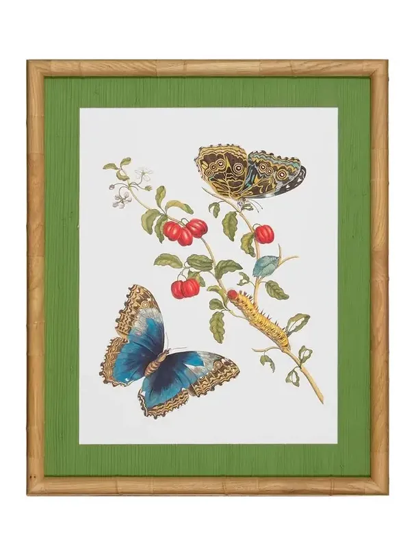 Shadow Catchers "Classic Botanical IX" Framed Giclee