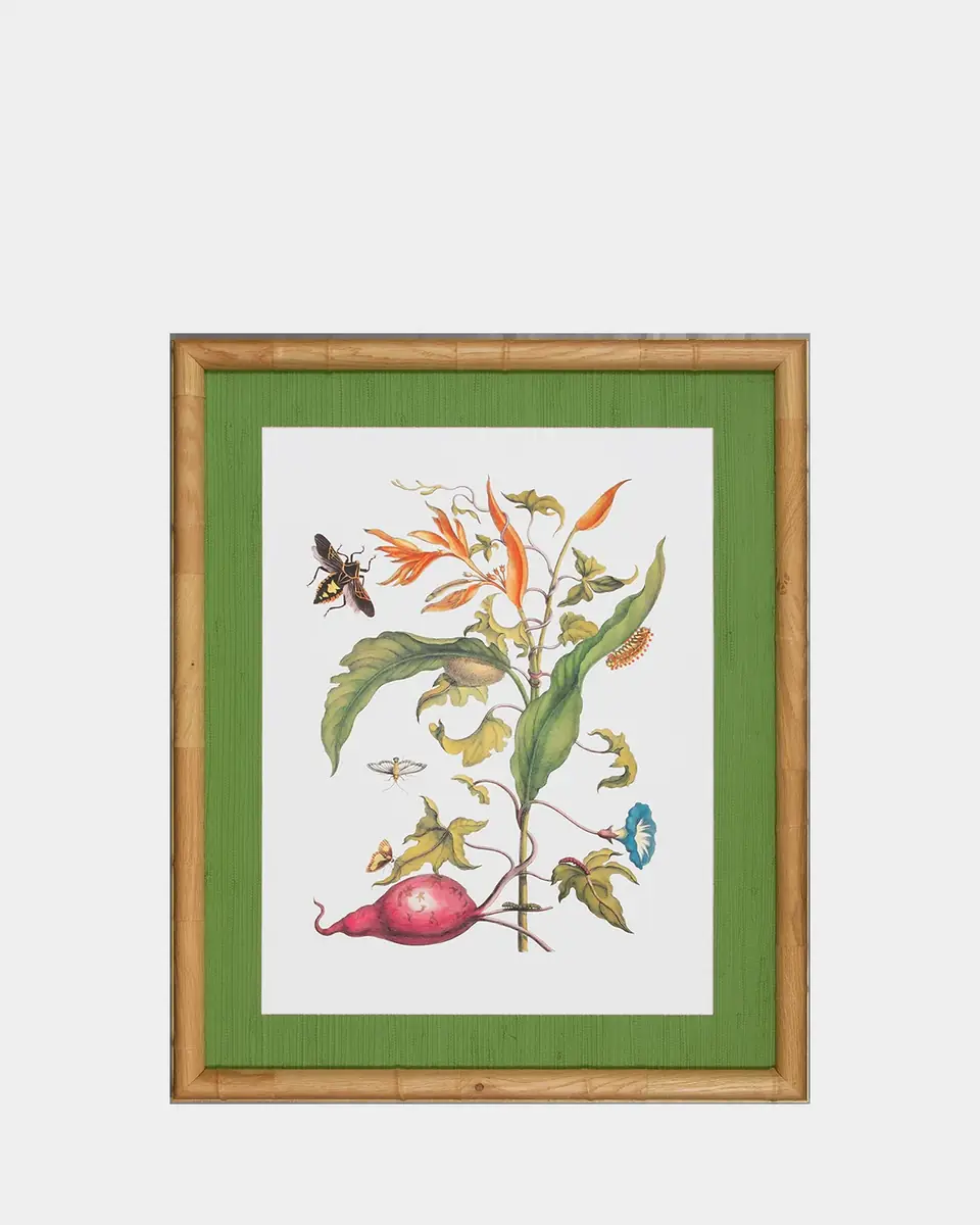 Shadow Catchers "Classic Botanical V" Framed Giclee | Thumbnail 2 Shadow Catchers "Classic Botanical V" Framed Giclee | Thumbnail 2