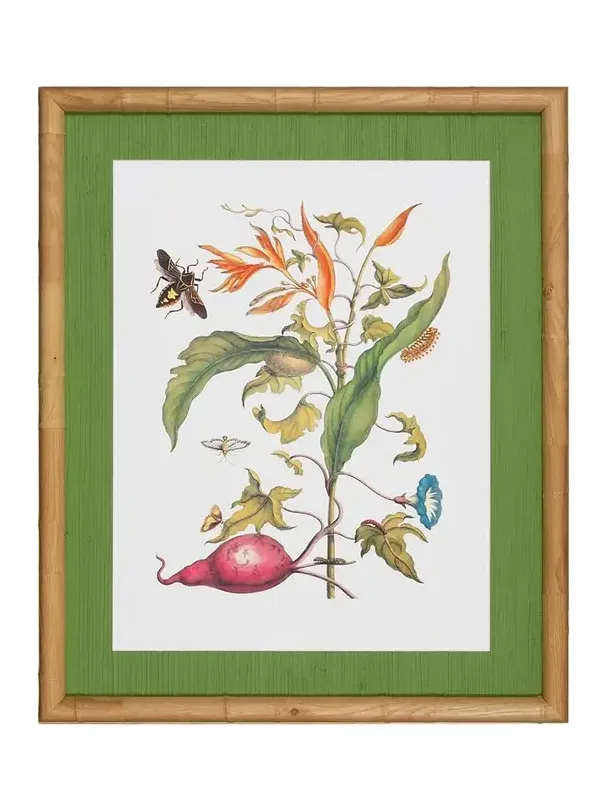 Shadow Catchers "Classic Botanical V" Framed Giclee