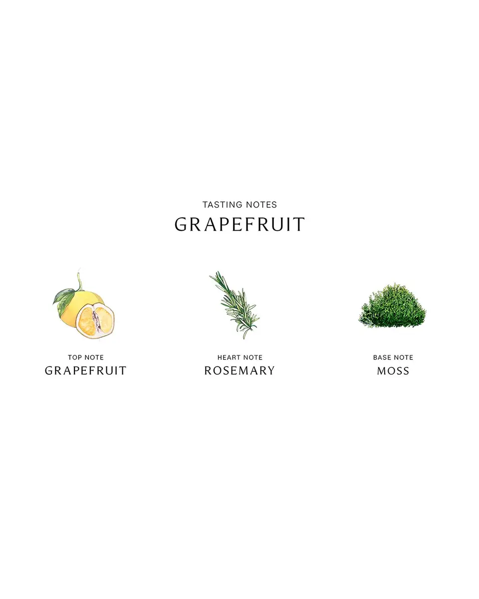 Jo Malone London Grapefruit Cologne, 3.4 oz. | Thumbnail 2 Jo Malone London Grapefruit Cologne, 3.4 oz. | Thumbnail 2