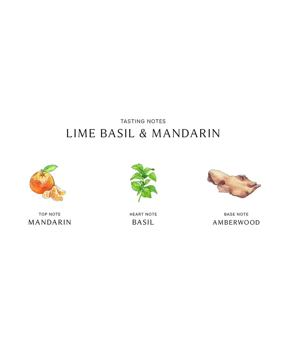 Jo Malone London Lime Basil & Mandarin Home Candle, 7 oz. | Thumbnail 3 Jo Malone London Lime Basil & Mandarin Home Candle, 7 oz. | Thumbnail 3