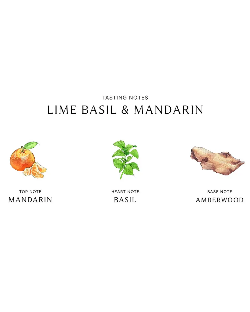 Jo Malone London Lime Basil & Mandarin Cologne | Thumbnail 2 Jo Malone London Lime Basil & Mandarin Cologne | Thumbnail 2
