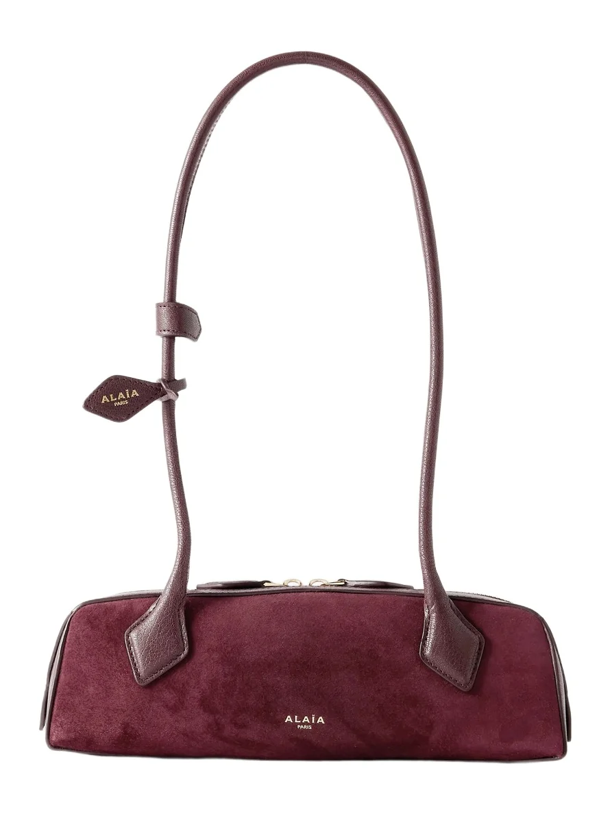 Le Teckel Small Leather-trimmed Suede Shoulder Bag