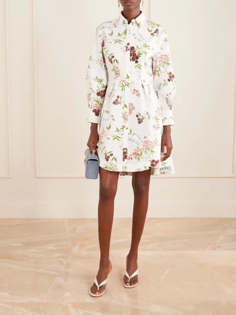Erdem Pleated Floral-print Cotton-poplin Mini Shirt Dress | Thumbnail 2