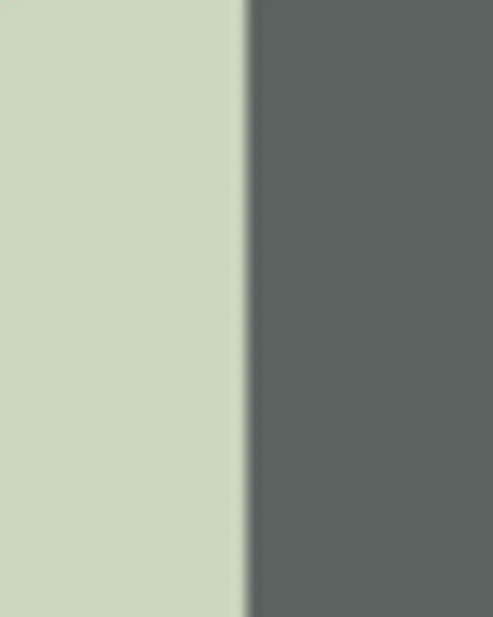 MacKenzie-Childs Courtly Check Salad Plate | Thumbnail 3 MacKenzie-Childs Courtly Check Salad Plate | Thumbnail 3