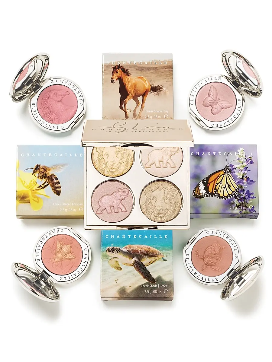 CHANTECAILLE Philanthropy Cheek Shade | Thumbnail 3