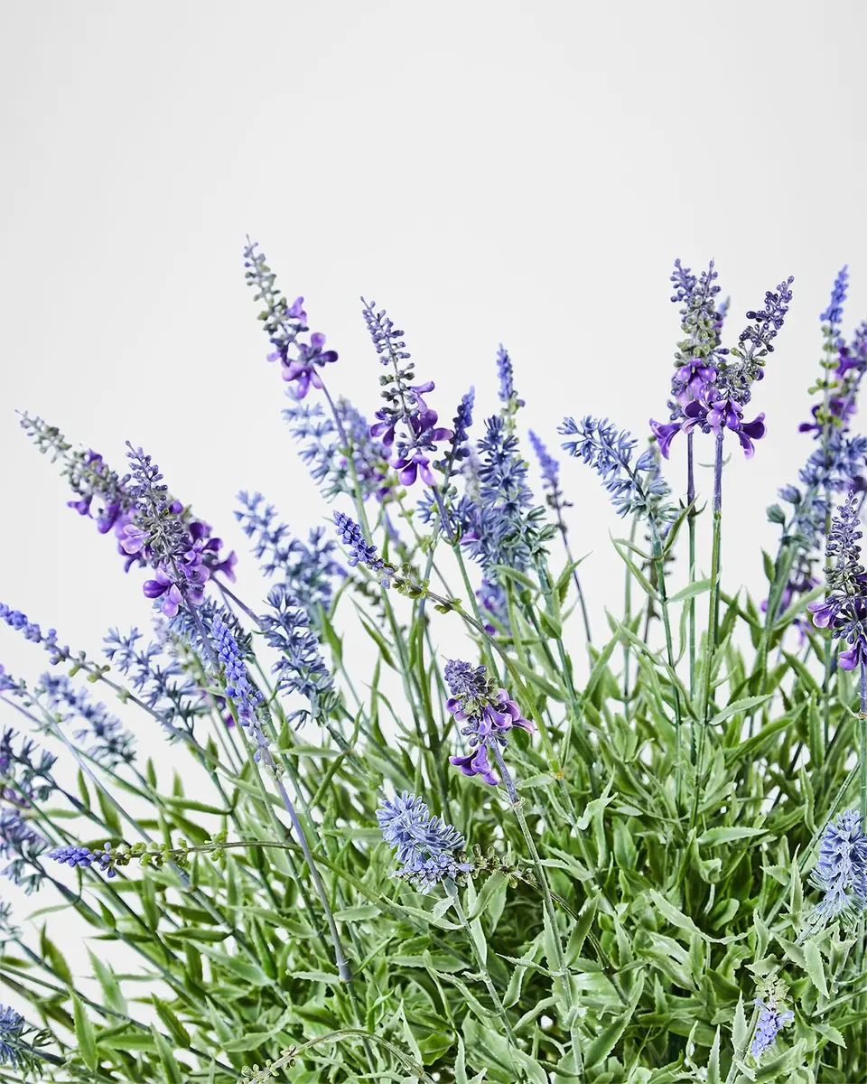 MacKenzie-Childs Lavender Urn Filler | Thumbnail 2 MacKenzie-Childs Lavender Urn Filler | Thumbnail 2