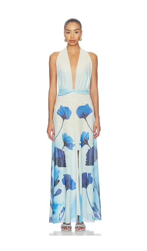 Especia Micelia Long Dress | Thumbnail 4