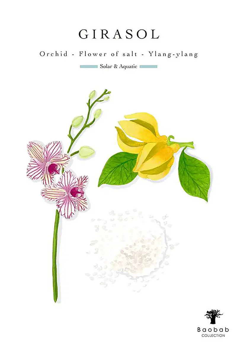 BAOBAB COLLECTION Tournesol Girasol Signature Candle | Thumbnail 2 BAOBAB COLLECTION Tournesol Girasol Signature Candle | Thumbnail 2